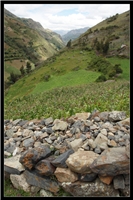 Peru1_76.jpg