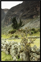 Peru1_18.jpg